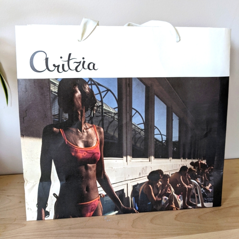 Aritzia paper shopping bag by artist